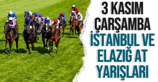 3 Kasım 2021 Çarşamba İstanbul ve Elazığ At Yarışı Tahminleri (izle) - TAY TV ve TJK TV