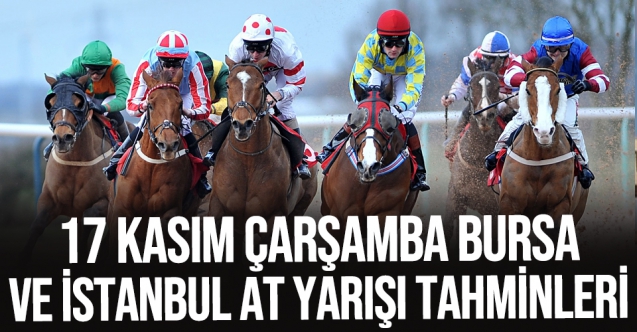 17 Kasım 2021 Çarşamba İstanbul ve Bursa At Yarışı Tahminleri (izle) - TAY TV ve TJK TV