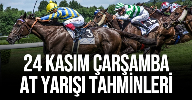 24 Kasım 2021 Çarşamba İstanbul ve Bursa At Yarışı Tahminleri (izle) - TAY TV ve TJK TV