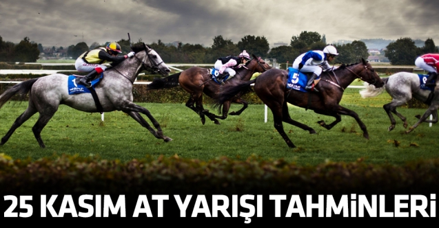 25 Kasım 2021 Perşembe İzmir ve Şanlıurfa At Yarışı Tahminleri (izle) - TAY TV ve TJK TV
