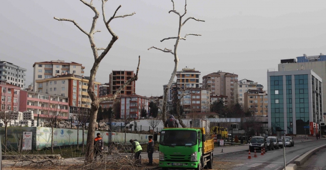 Kar yağışından etkilenen ağaçlara Kartal Belediyesi ekiplerinden anında müdahale