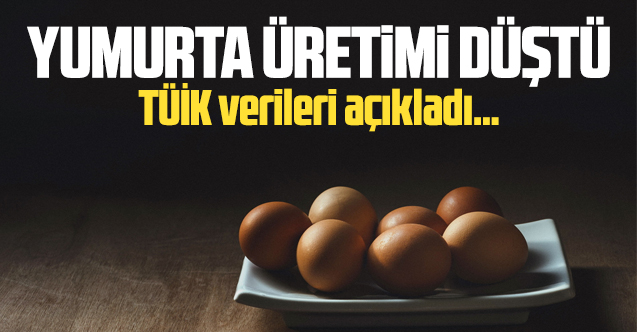 Türkiye'de yumurta üretimi düştü