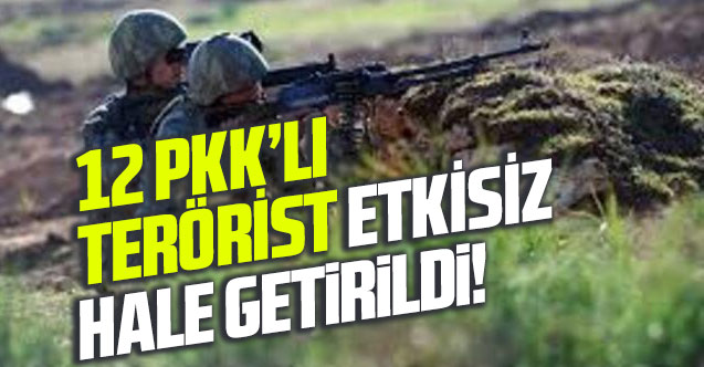 12 PKK'lı terörist etkisiz hale getirildi