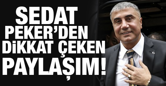 Sedat Peker Hilal Kaplan'ın eski tweetlerini paylaştı: Yargılanacaksınız!