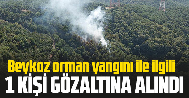 Beykoz'daki orman yangınıyla ilgili 1  şüpheli gözaltına alındı