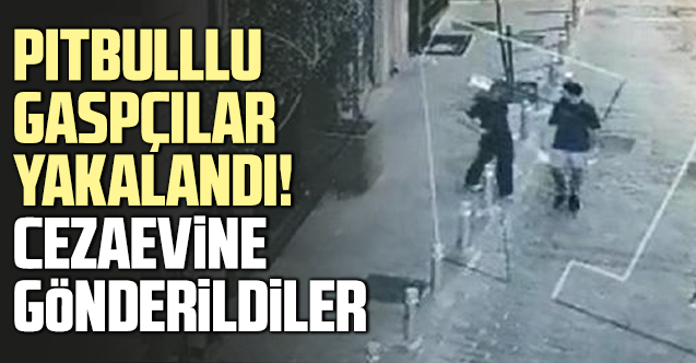 Beyoğlu'nda pitbulllu gaspçılar yakalandı