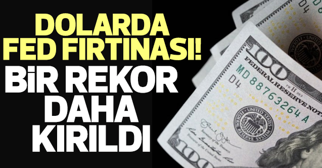 Dolardan bir rekor daha geldi!