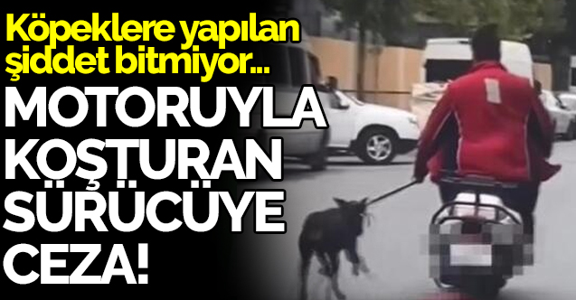 Bağcılar'da motosikletin yanında köpeği koşturan şüpheliye ceza