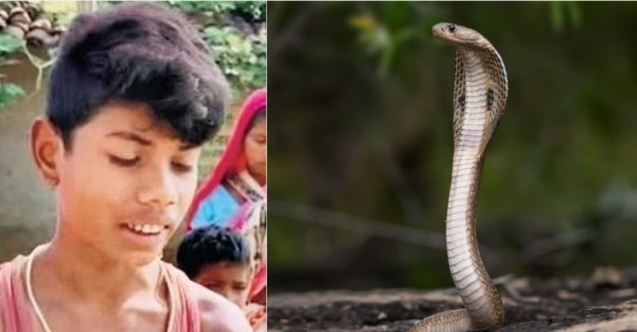 8 yaşındaki çocuğun ısırdığı kobra öldü