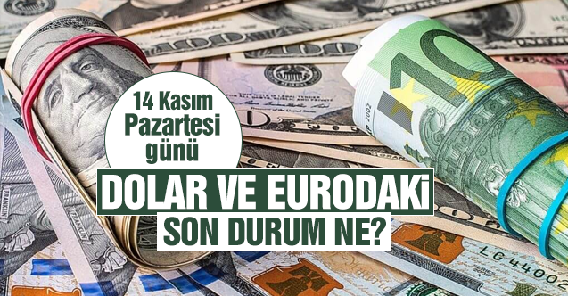 14 Kasım Pazartesi dolar ve euro güne nasıl başladı? Alış ve satış fiyatları