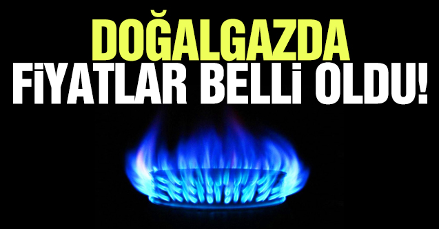 Doğalgaz ile ilgili beklenen fiyat açıklandı