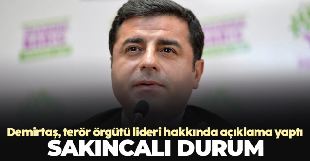 HDP Eş Genel Başkanı Selahattin Demirtaş: Türkiye için sakıncalı durum