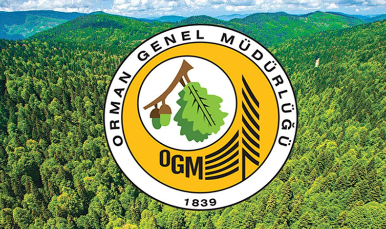 Orman Genel Müdürlüğü 249 Orman Mühendisi alacak