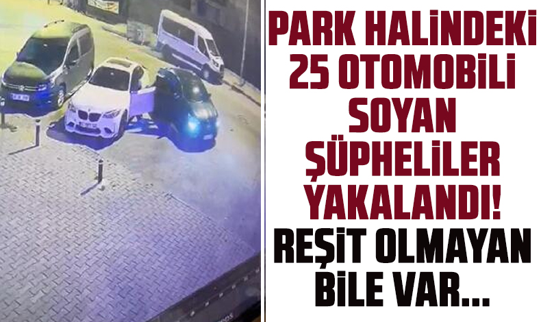 İstanbul'da 25 otomobili soyan hırsızlar yakalandı