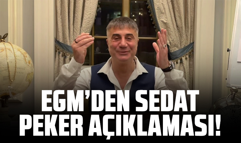 Emniyet Genel Müdürlüğü'nden gece yarısı 'Sedat Peker' açıklaması: Yasal süreç başlatıldı
