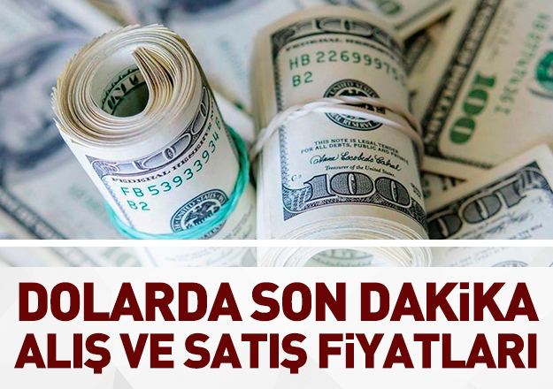 Dolar bugün kaç lira? 17 Eylül alış ve satış fiyatları