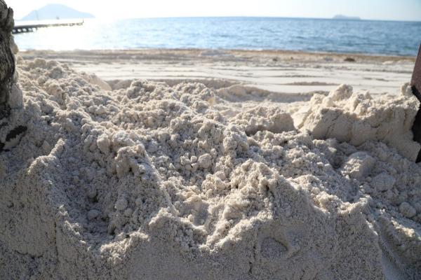 Bodrum'da sahile beyaz kum döken otelin çalışması durduruldu
