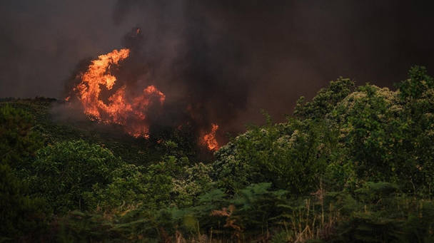 "Bu yangın, iklim değişikliğinin çok ciddi bir uyarısı"