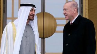 Cumhurbaşkanı Erdoğan, BAE Devlet Başkanı Zayed ile görüştü