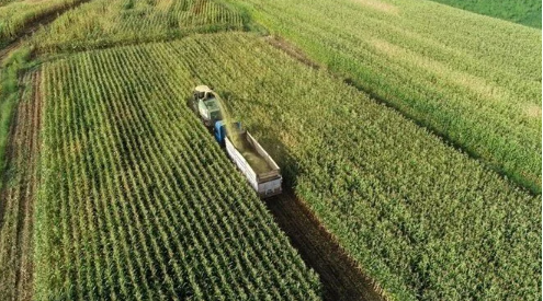 Deprem bölgesindeki sertifikalı tohum destekleri yüzde 100 artırıldı