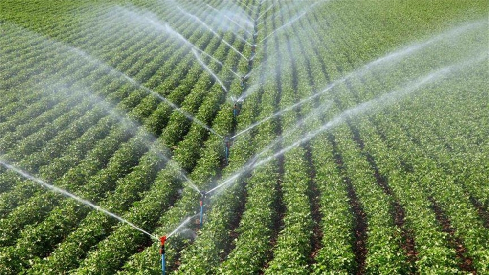 Tarım ve Orman Bakanlığı, KKTC'de sulama projesi başlatıyor
