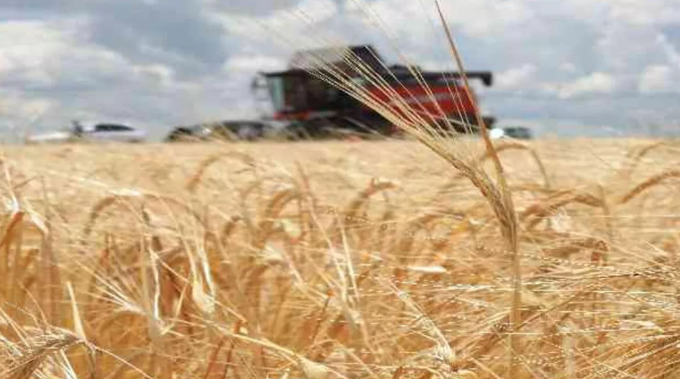 Rusya: Tahıl anlaşmasının uzatılması ihtimali düşük