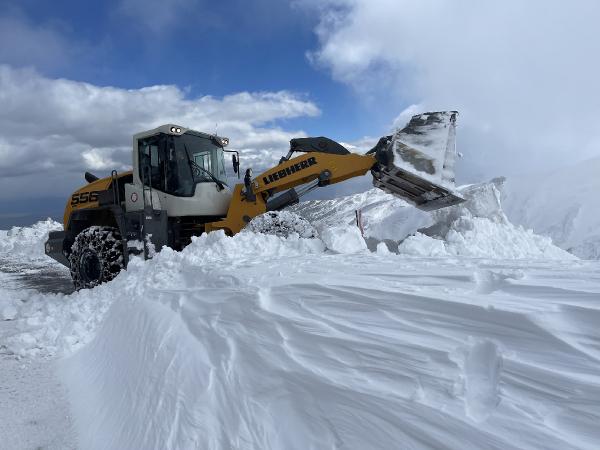 Muş'ta 6 metre karla mücadele