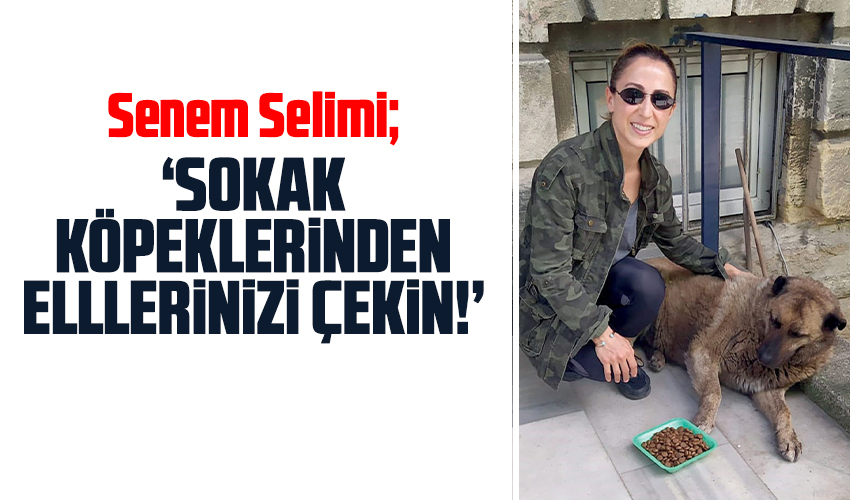 Senem Selimi: Sokak köpeklerinden elinizi çekin!