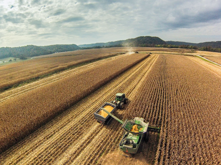 Polonya ve Macaristan, Ukrayna’dan tahıl ithalatını durdurdu