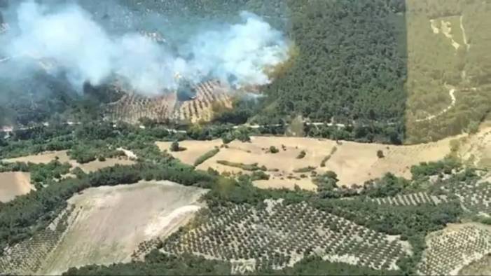 Bergama'daki orman yangını saatler sonra kontrol altına alındı