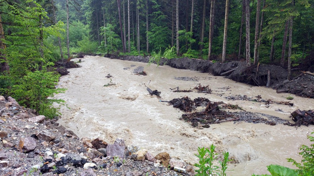 Bolu'da sağanak; dereler taştı, Abant yolu göçtü