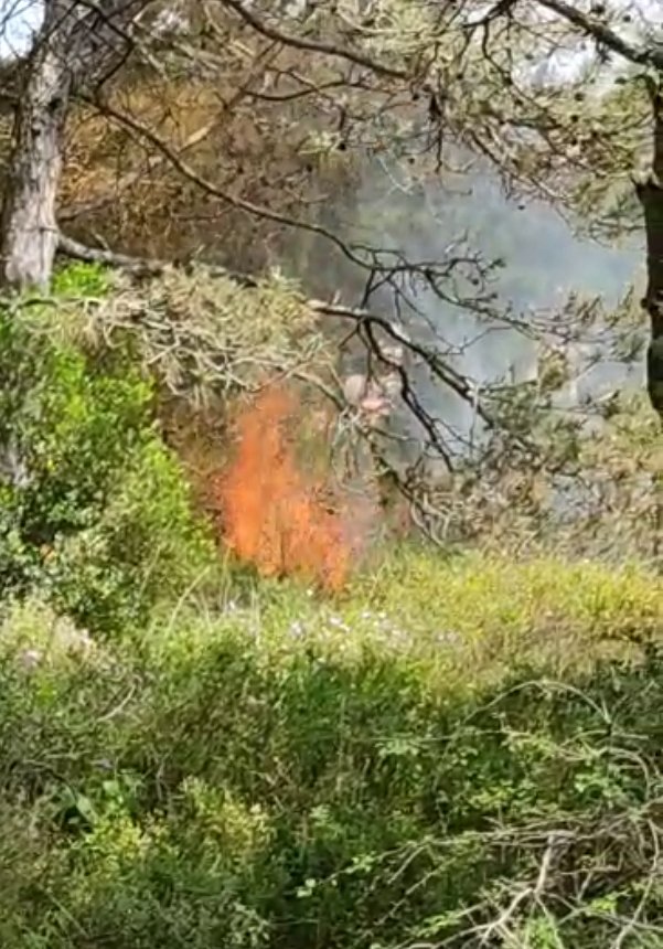 Şile'de ormanlık alanda yangın!