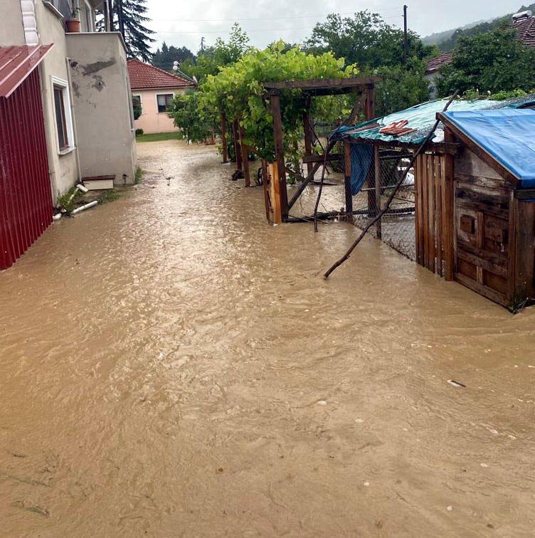 Düzce'deki yağışta köyler ve tarım alanları sular altında kaldı