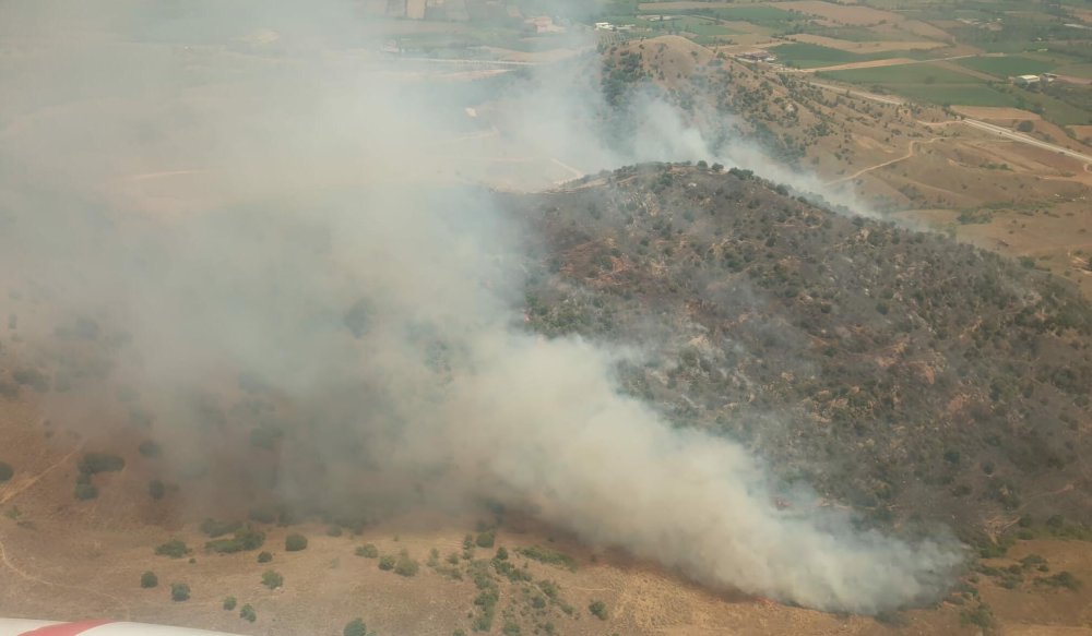 İzmir'de korkutan yangın! Ormana sıçradı