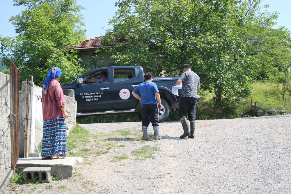 'Şap hastalığı' kenti alarma geçirdi: 136 köy karantinada