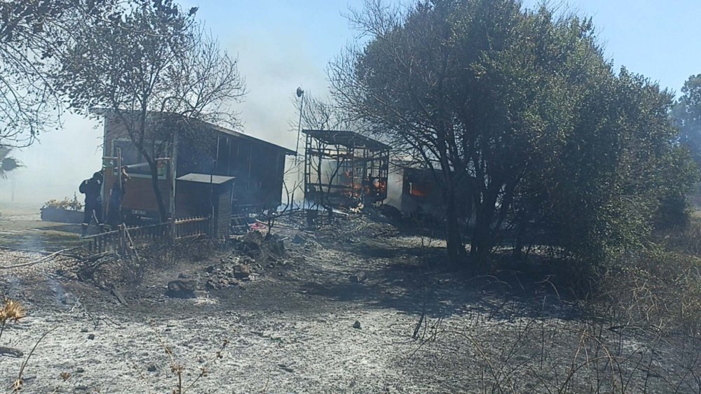 Bodrum'da çıkan yangın, 'tiny house'lara sıçradı