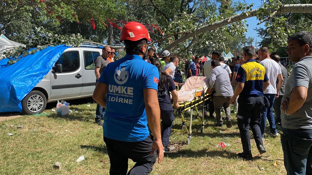 Kırkpınar'ın final gününde Sarayiçi'nde ağaç devrildi: 2 yaralı