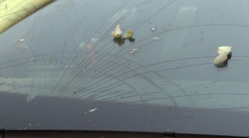 İstanbul'da garip olay: Atılan soğanlar camını kırdı