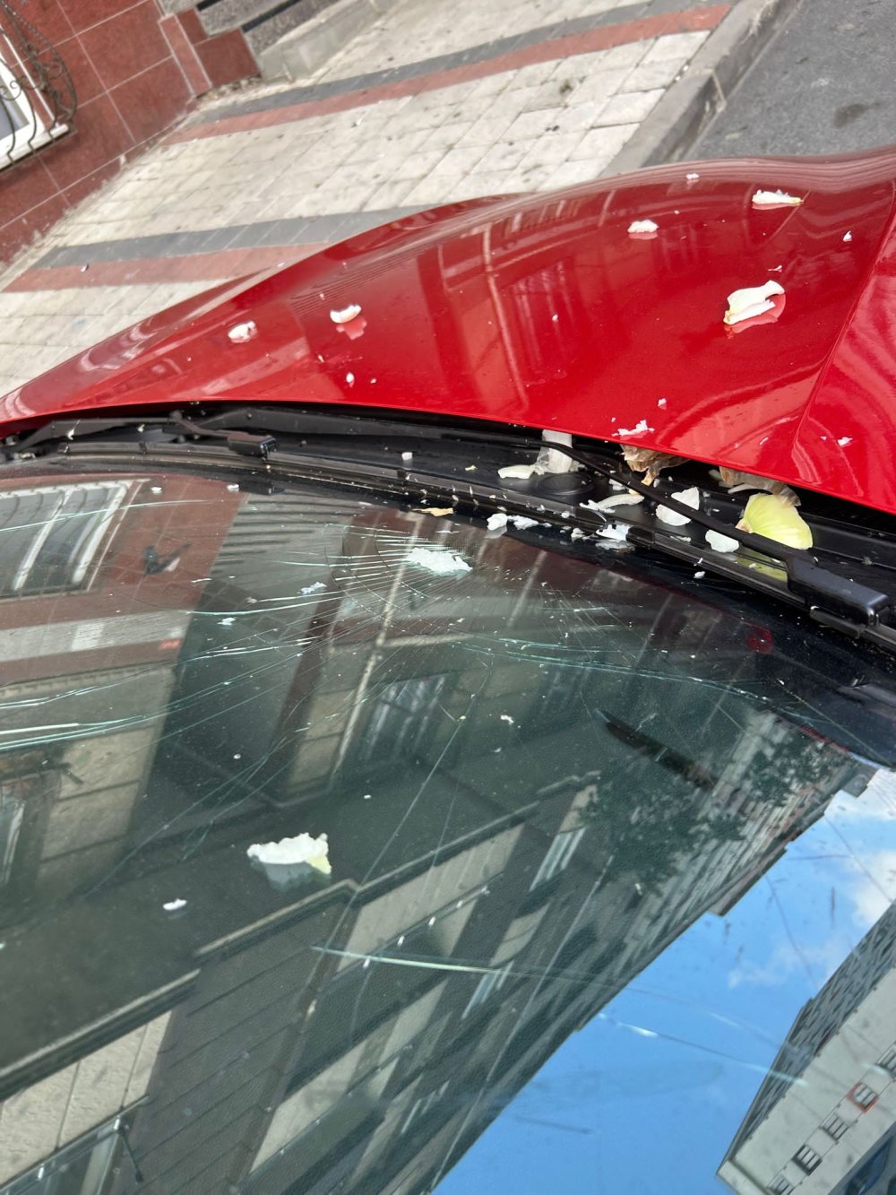 İstanbul'da garip olay: Atılan soğanlar camını kırdı