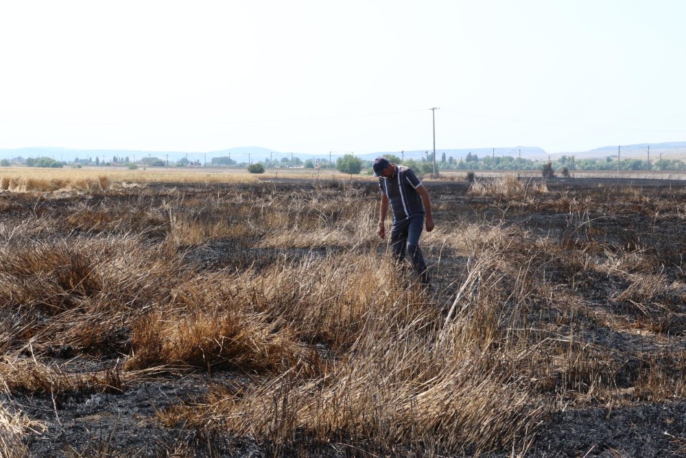 60 dönümlük arazi kül olmuştu: Yangının sebebi ortaya çıktı