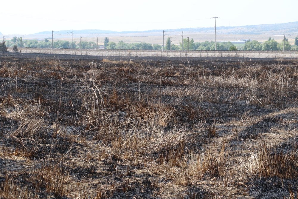 60 dönümlük arazi kül olmuştu: Yangının sebebi ortaya çıktı
