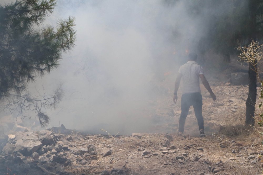 Şanlıurfa’daki orman yangını TOMA'larla söndürüldü