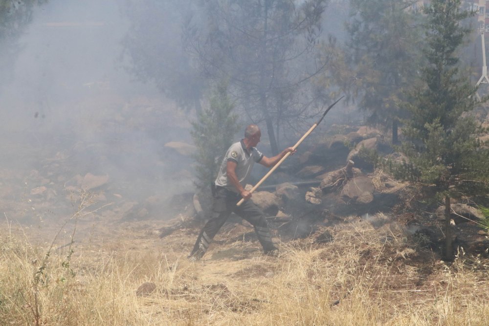 Şanlıurfa’daki orman yangını TOMA'larla söndürüldü
