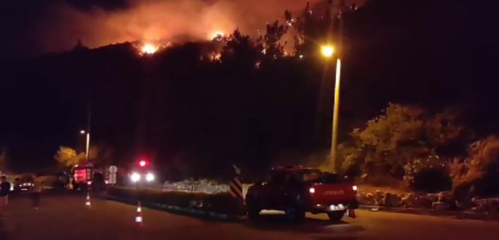 Muğla'daki orman yangını kontrol altına alındı: 1 gözaltı