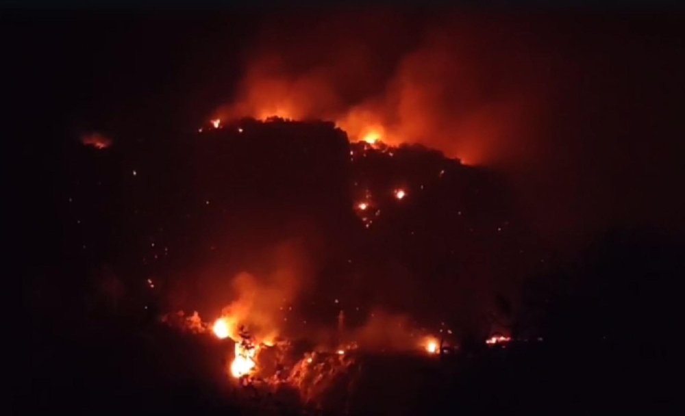 Muğla'daki orman yangını kontrol altına alındı: 1 gözaltı