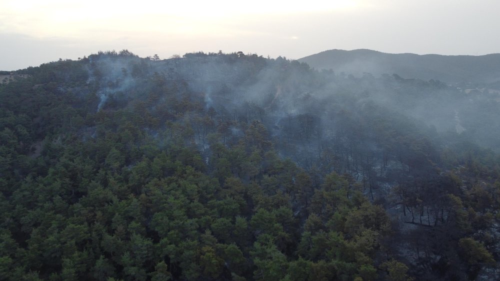 Çanakkale'deki orman yangını 2'nci günde de sürüyor