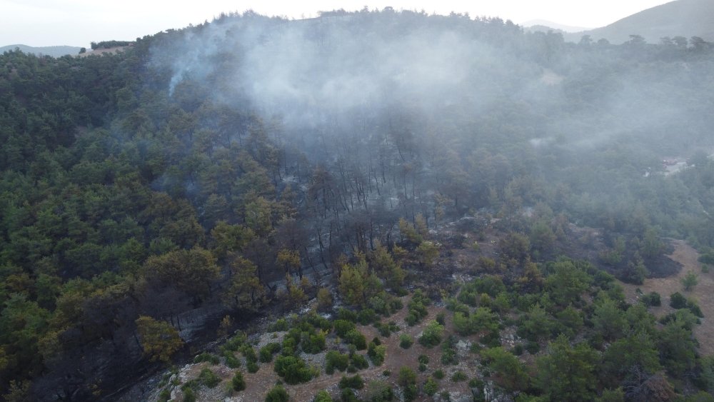 Çanakkale'deki orman yangını 2'nci günde de sürüyor