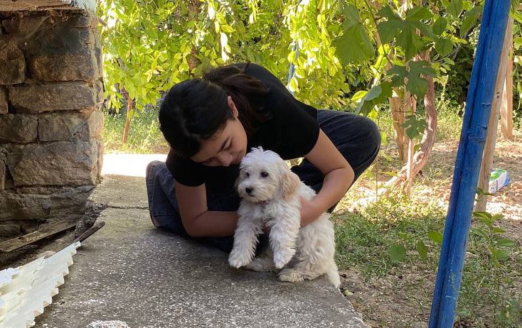 Kaybolan köpeğine sosyal medyada yayınladığı '10 bin TL ödül' sayesinde kavuştu
