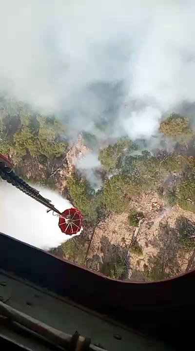 Bolu'daki orman yangını sürüyor