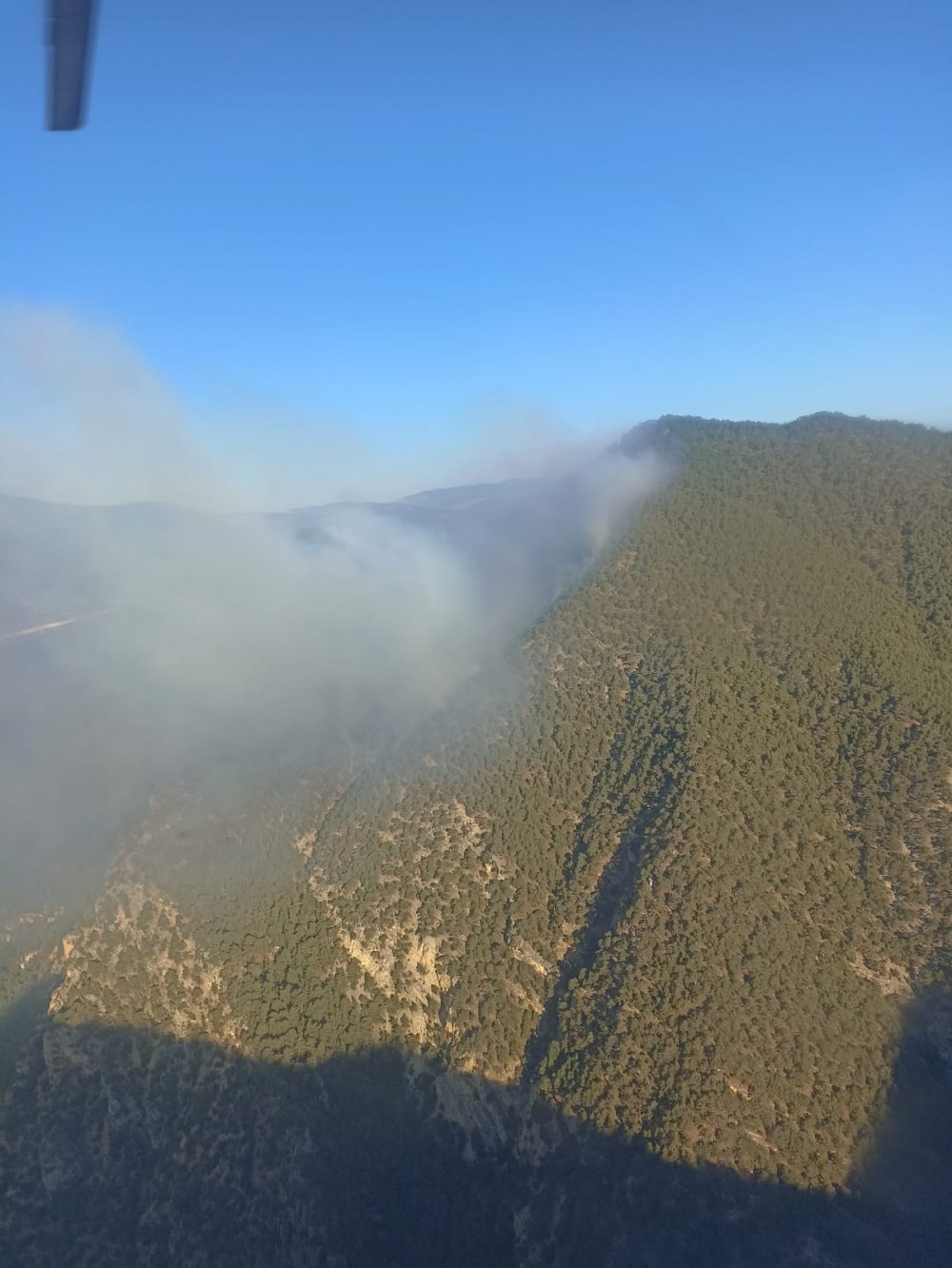 Bolu'daki orman yangını sürüyor
